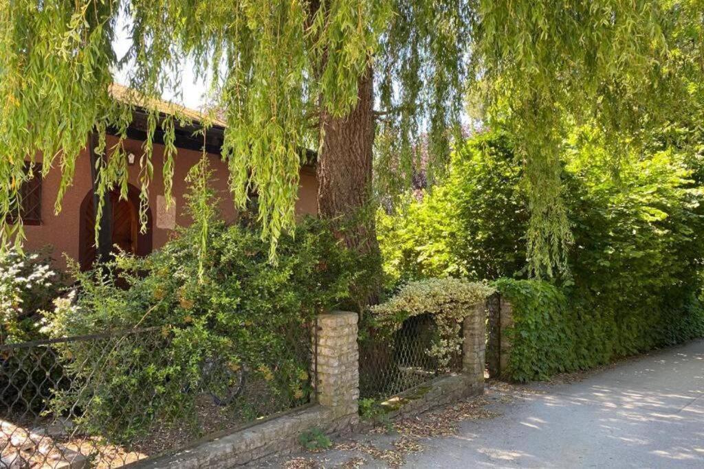 Gartenwohnung 5 Min. Zur Stadt Hagenau Экстерьер фото